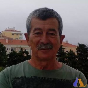 Vwalfa48