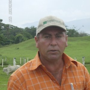 Getele