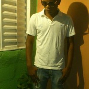 Ericelmopereira
