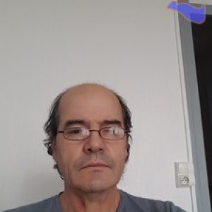 Alves1005
