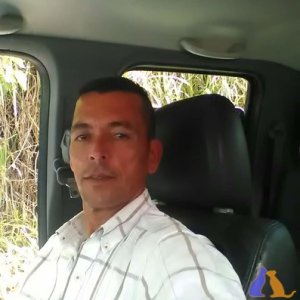 El pantera