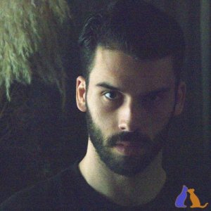 MiguelPaViseu